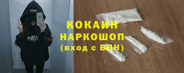 шишки Заводоуковск
