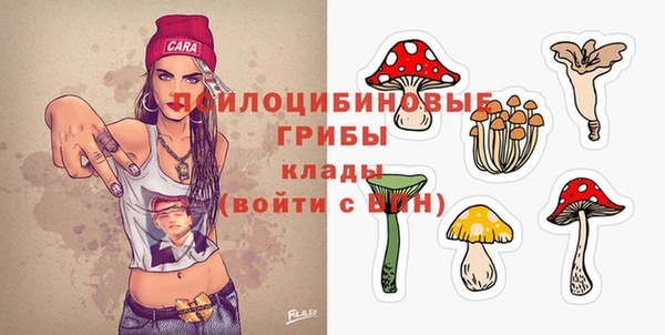 mdma Ельня