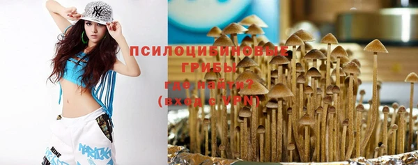 mdma Ельня