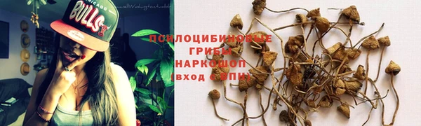 прущий лед Заволжье