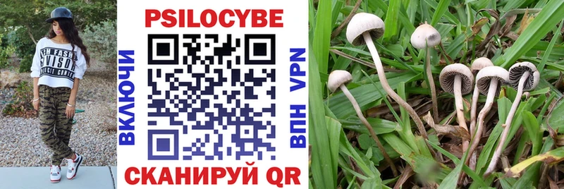 Галлюциногенные грибы GOLDEN TEACHER  Отрадная 